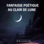 Fantaisie poétique au clair de lune - Sandrine Turquier