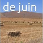 Pluie de juin, Alexandru Sahia, traduit par Gabrielle Danoux
