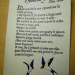 Hirondelles gelées, par Clelia Ifrim
