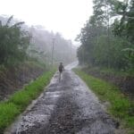 Madame la Pluie – Raymond Delattre