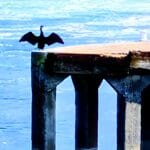 Il se prenait pour Batman